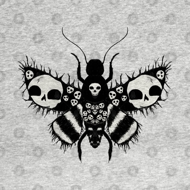 Skull moth by Courteney Valentine